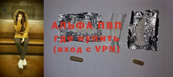 дмт Богданович