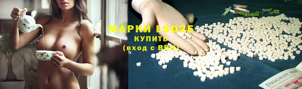 дмт Богданович