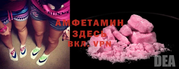 дмт Богданович