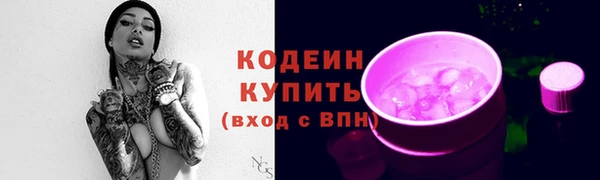 apvp Богородицк
