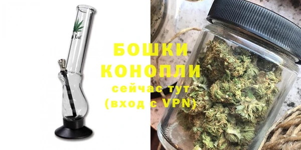 гидра Белокуриха