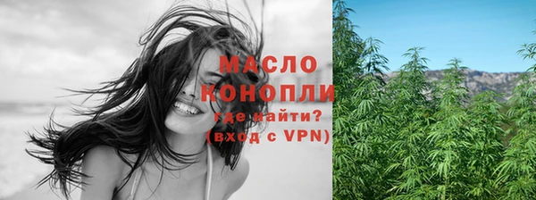 дмт Богданович