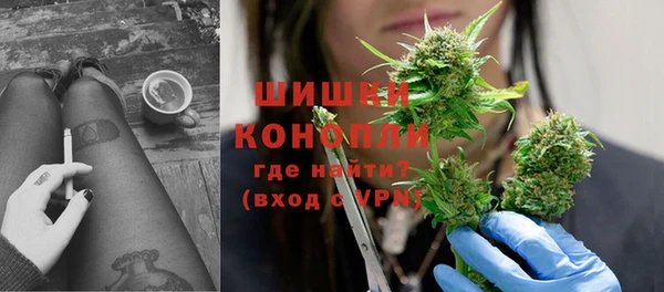 дмт Богданович