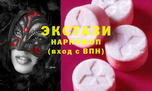 дмт Богданович